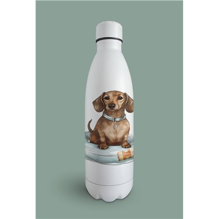 Insulated Bottle  - da 8