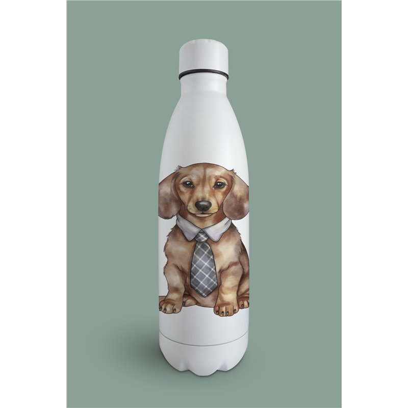 Insulated Bottle  - da 9