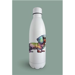 Insulated Bottle  - da 19