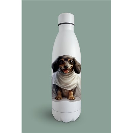 Insulated Bottle  - da 27
