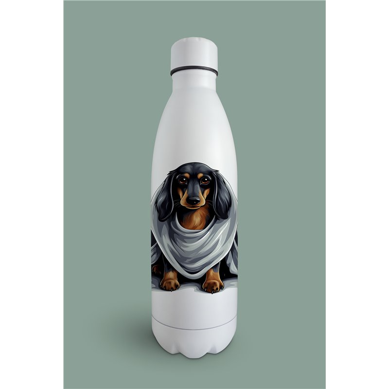 Insulated Bottle  - da 28