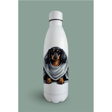 Insulated Bottle  - da 28
