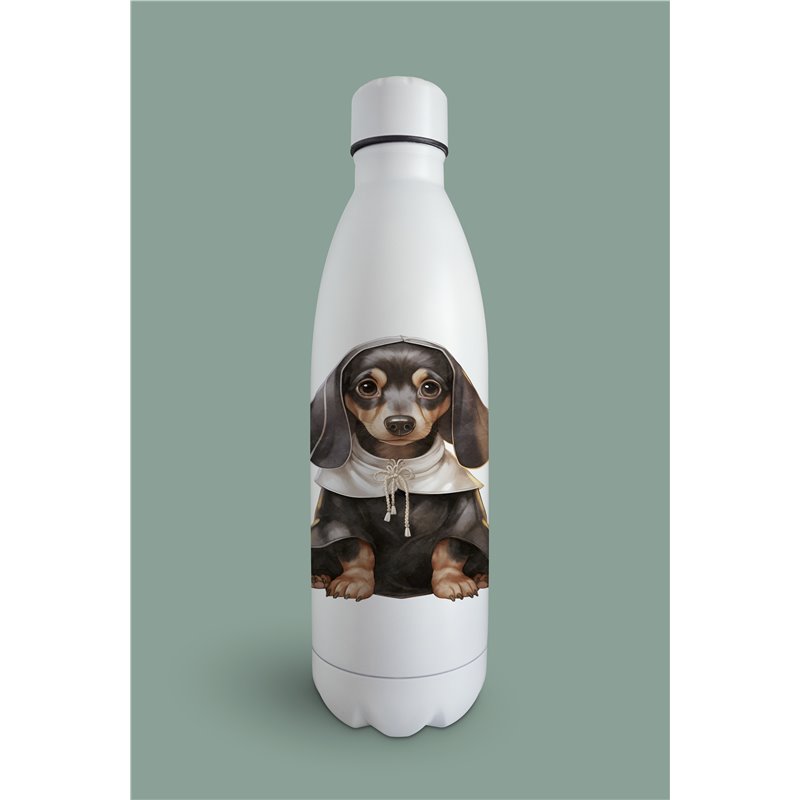 Insulated Bottle  - da 29