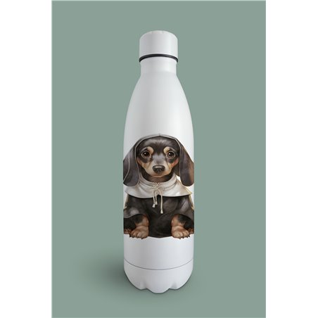 Insulated Bottle  - da 29