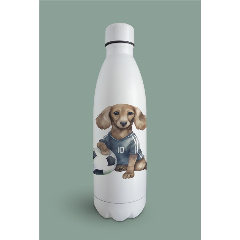 Insulated Bottle  - da 30