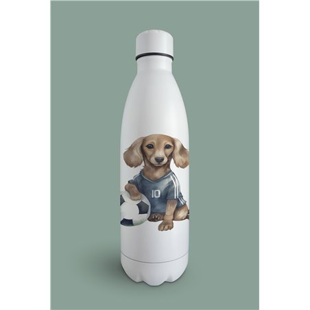Insulated Bottle  - da 30