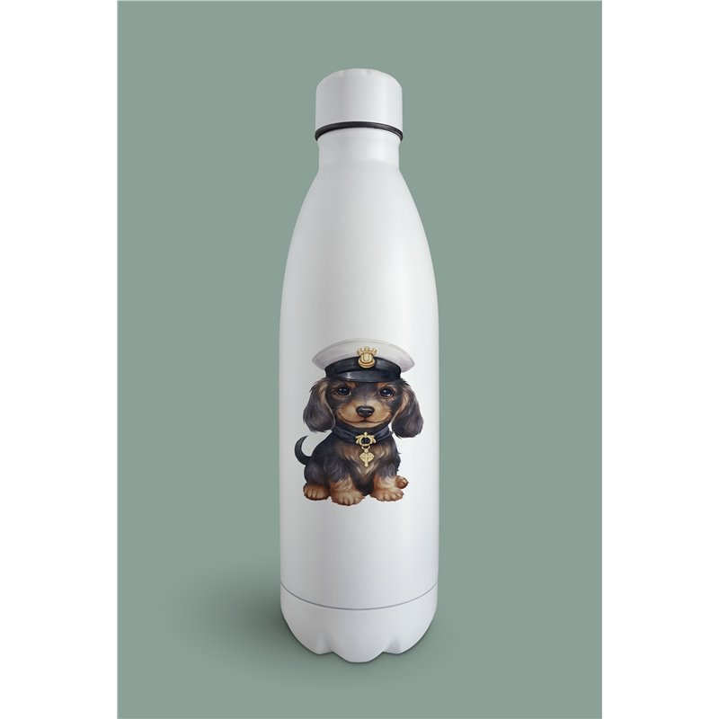 Insulated Bottle  - da 31