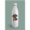 Insulated Bottle  - da 33