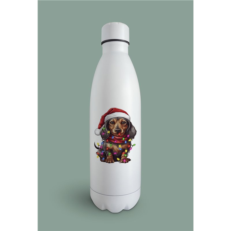 Insulated Bottle  - da 37