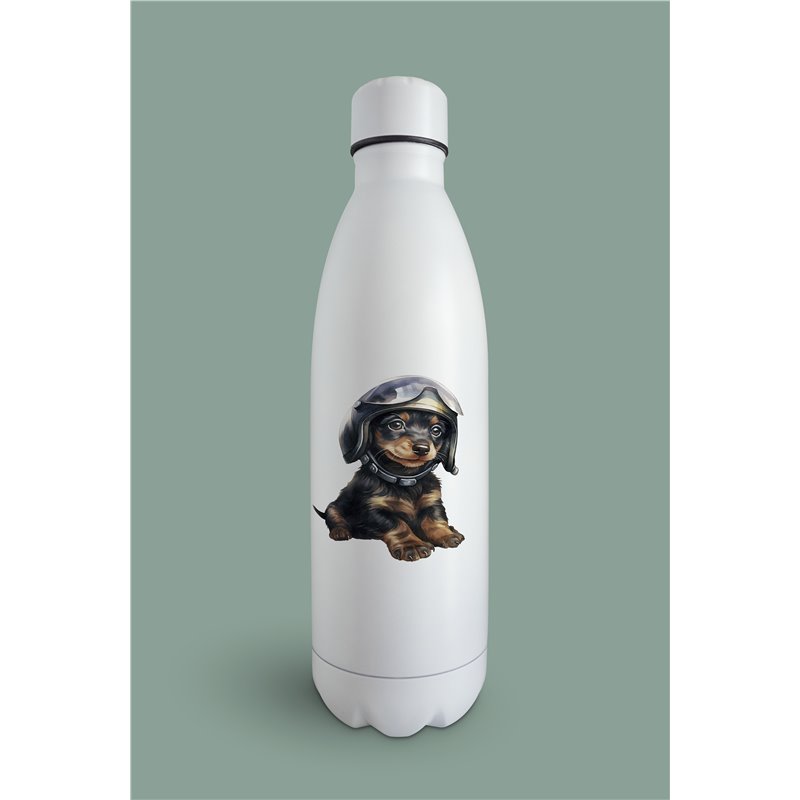 Insulated Bottle  - da 38