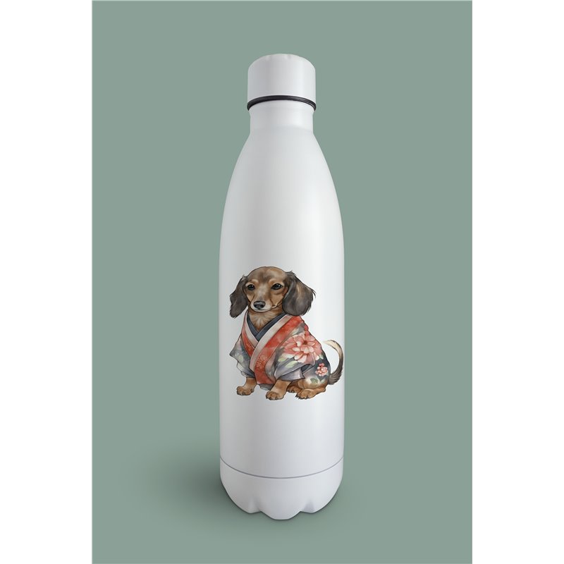 Insulated Bottle  - da 39