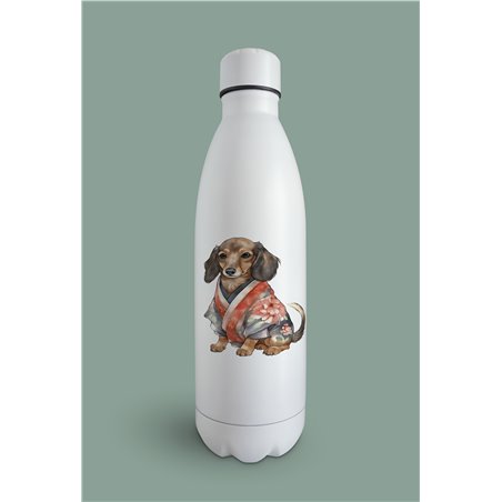 Insulated Bottle  - da 39