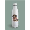 Insulated Bottle  - da 39