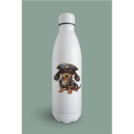 Insulated Bottle  - da 40