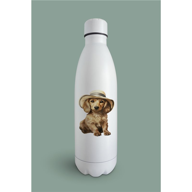 Insulated Bottle  - da 41