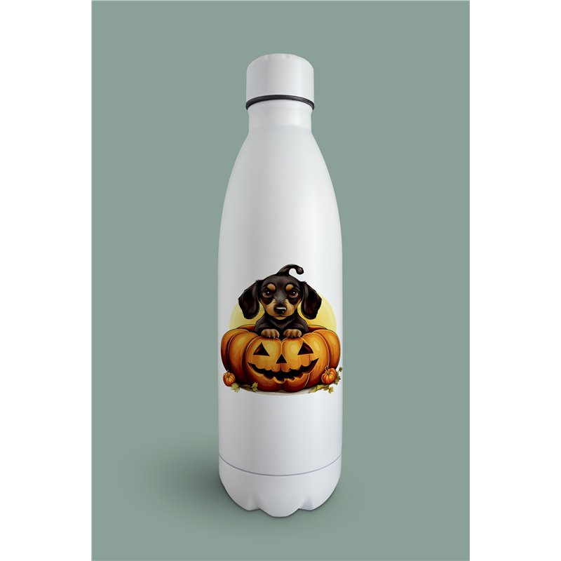 Insulated Bottle  - da 43