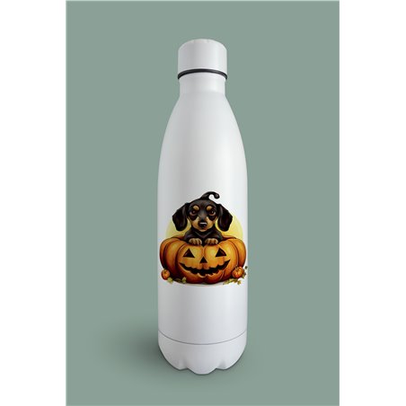 Insulated Bottle  - da 43