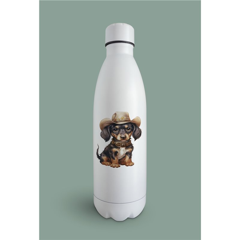 Insulated Bottle  - da 44