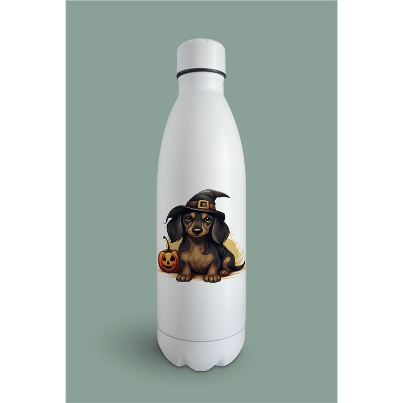 Insulated Bottle  - da 45