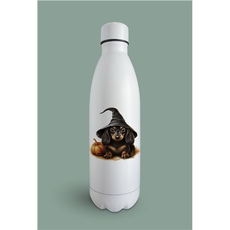 Insulated Bottle  - da 47