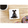 Ceramic Tile Coaster/ Trivet - do 22
