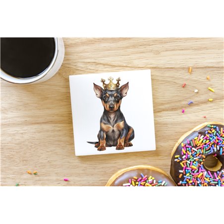 Ceramic Tile Coaster/ Trivet - do 34