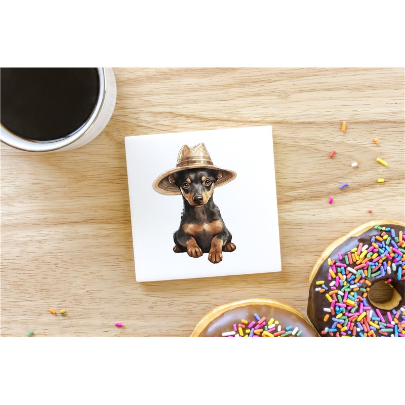 Ceramic Tile Coaster/ Trivet - do 42