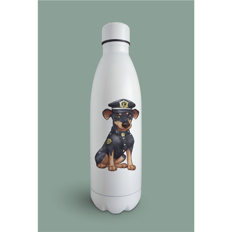 Insulated Bottle  - do 6