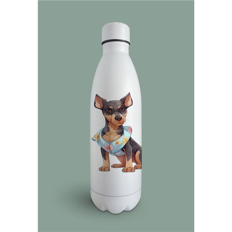 Insulated Bottle  - do 7