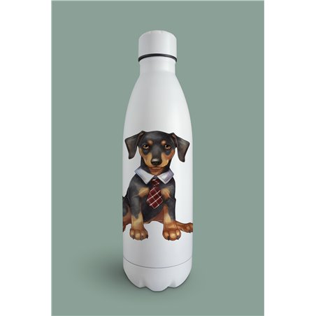 Insulated Bottle  - do 9