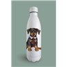 Insulated Bottle  - do 9