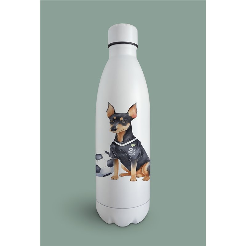 Insulated Bottle  - do 29