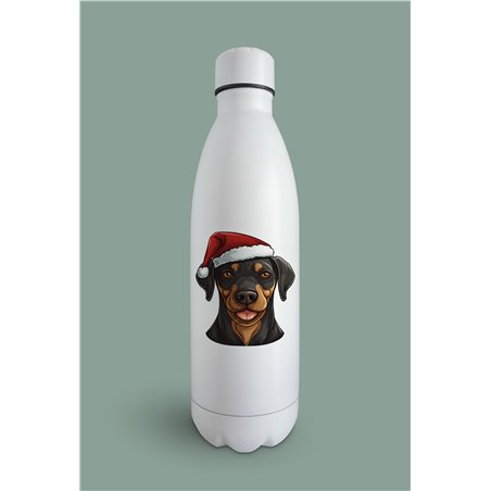 Insulated Bottle  - do 31