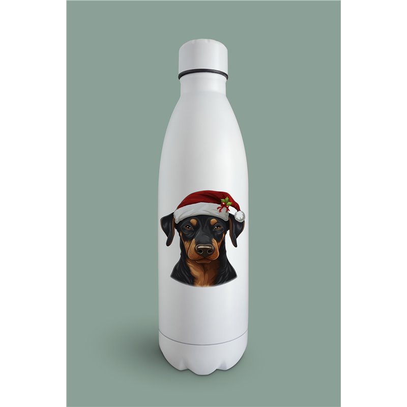 Insulated Bottle  - do 32