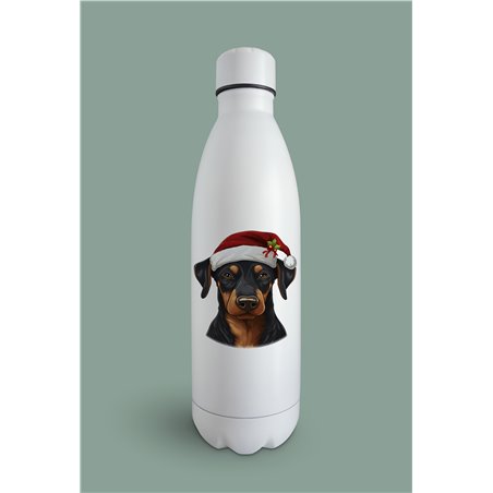 Insulated Bottle  - do 32