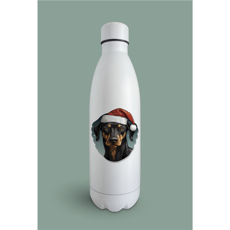 Insulated Bottle  - do 33