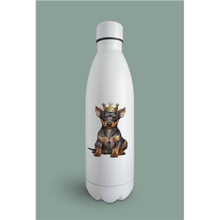 Insulated Bottle  - do 36