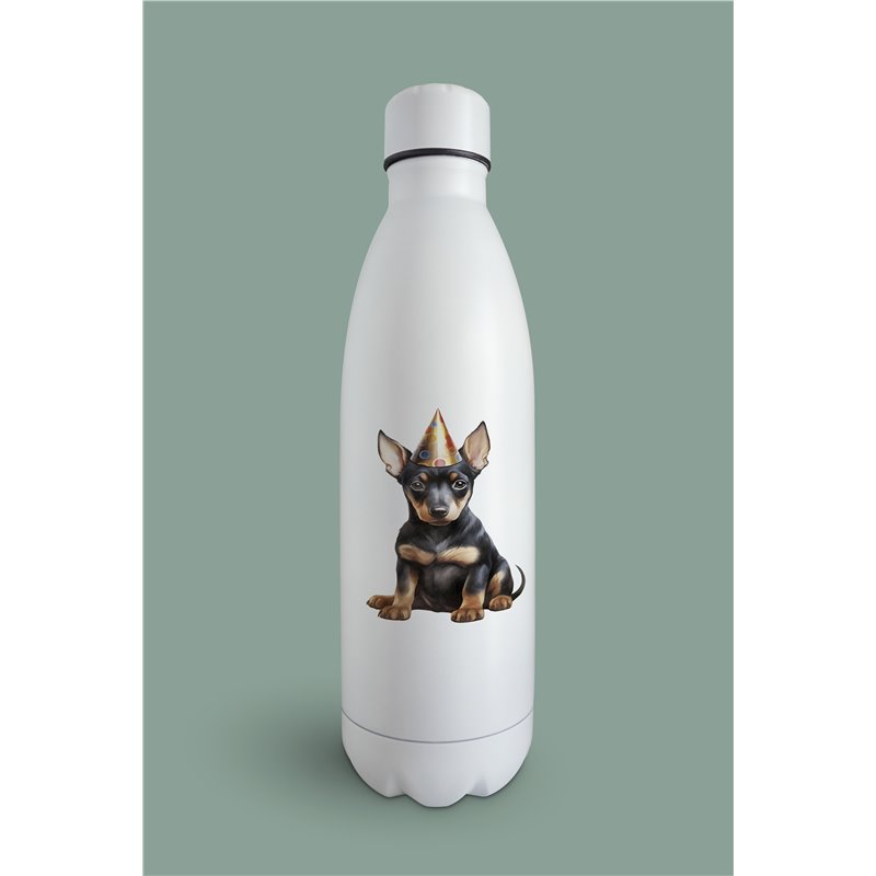 Insulated Bottle  - do 38