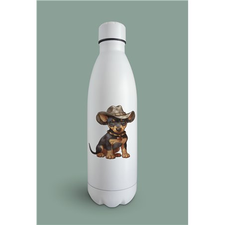 Insulated Bottle  - do 39