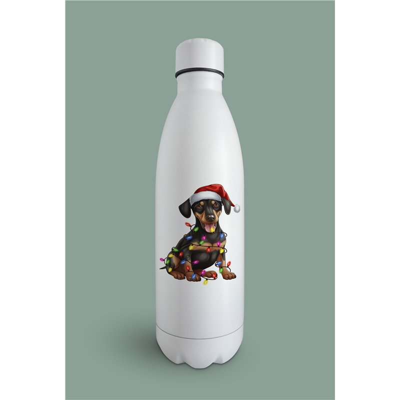 Insulated Bottle  - do 40