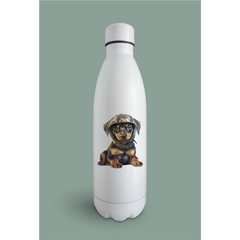 Insulated Bottle  - do 41