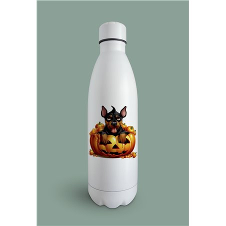 Insulated Bottle  - do 45