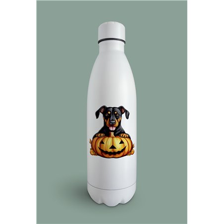 Insulated Bottle  - do 46