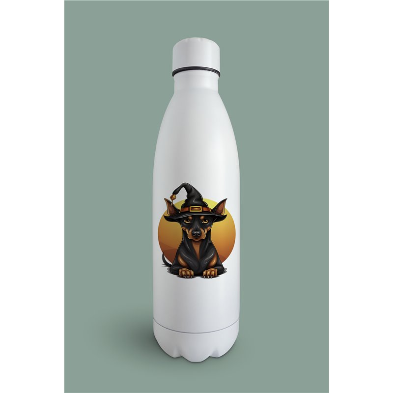 Insulated Bottle  - do 48