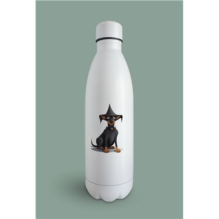 Insulated Bottle  - do 49