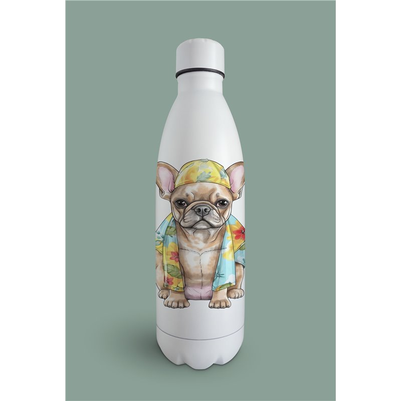 Insulated Bottle  - fb 4