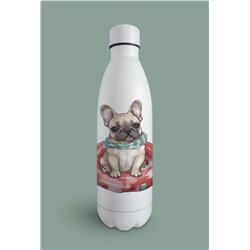 Insulated Bottle  - fb 5