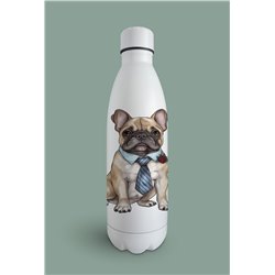 Insulated Bottle  - fb 6
