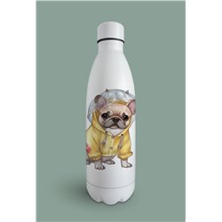 Insulated Bottle  - fb 9