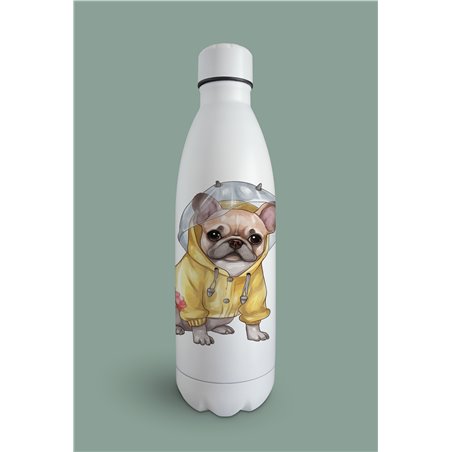 Insulated Bottle  - fb 9